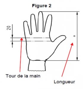 Tour et longueur des mains